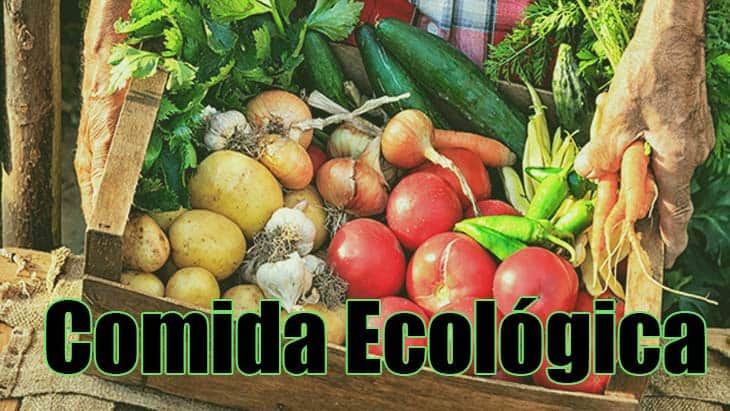 Comida ecologica y efectos en el precio