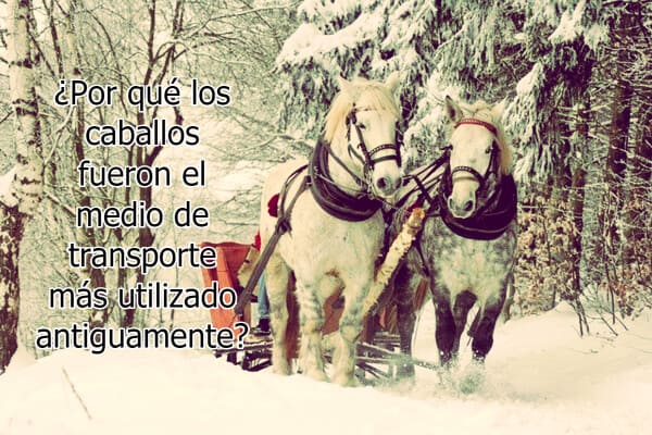 ¿Por qué los caballos fueron el medio de transporte más utilizado antiguamente?
