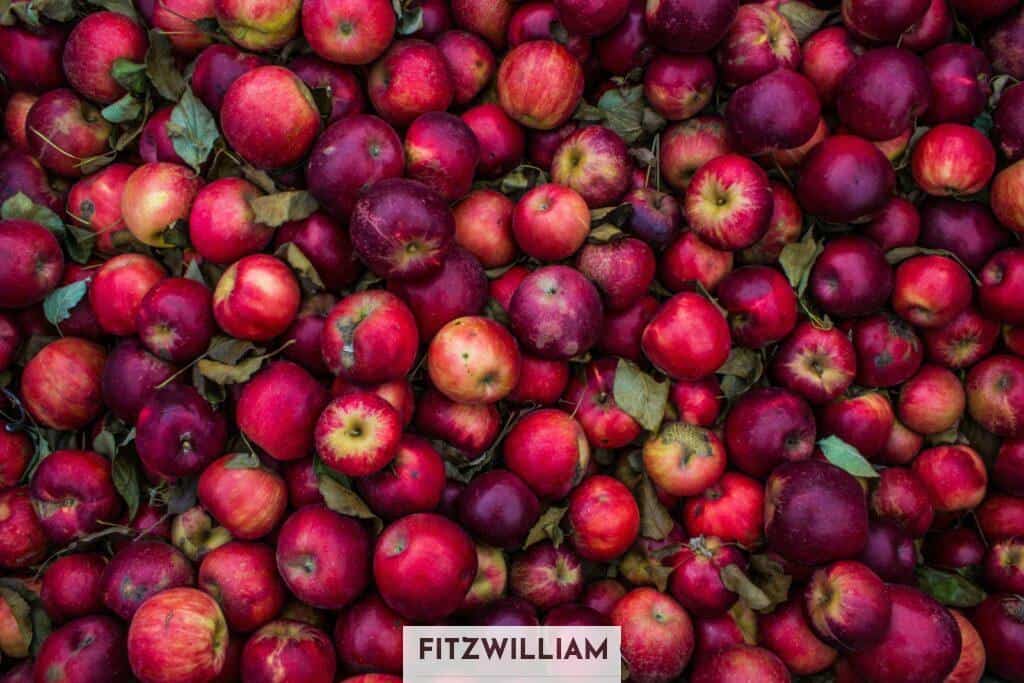 red apple lot
