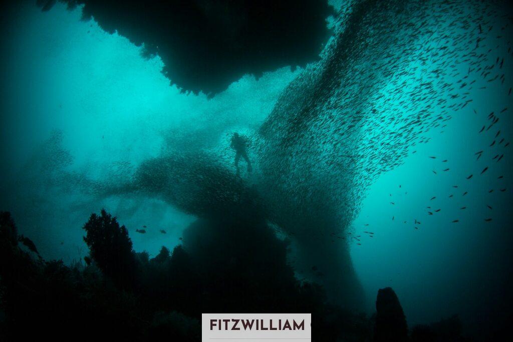 ¿Qué es el 'oxígeno oscuro' que han descubierto en los fondos marinos?