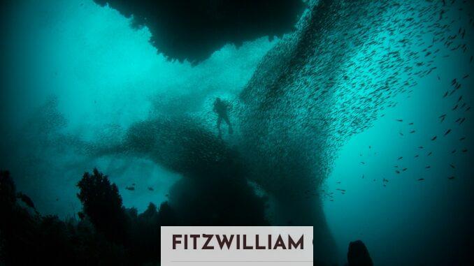 ¿Qué es el 'oxígeno oscuro' que han descubierto en los fondos marinos?