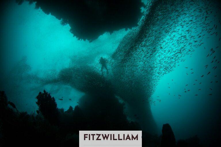¿Qué es el ‘oxígeno oscuro’ que han descubierto en los fondos marinos?