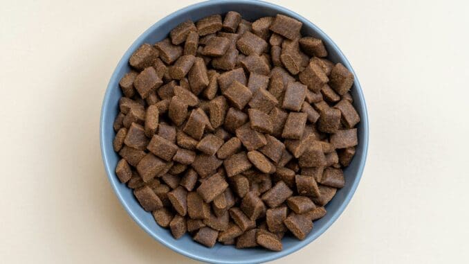 Cómo ha evolucionado la alimentación de mascotas hacia opciones más naturales